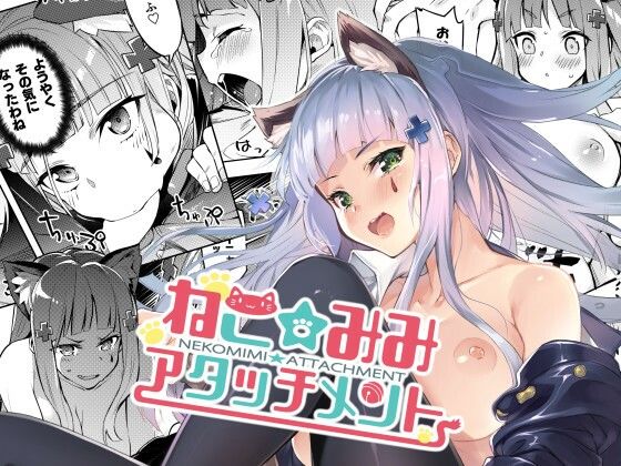 ねこみみアタッチメント (同人誌)
