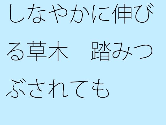 しなやかに伸びる草木 踏みつぶされても (同人誌)