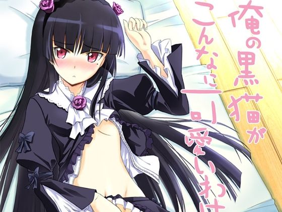 俺の黒猫がこんなに可愛いわけがない (同人誌)