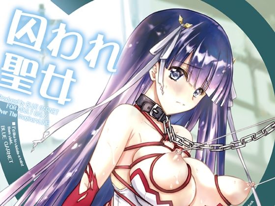 囚われ聖女 (同人誌)
