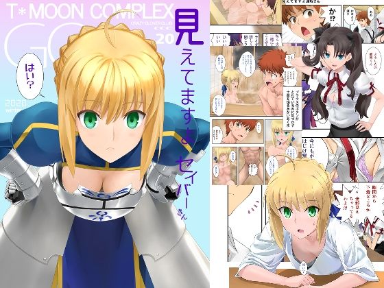 見えてますよセイバーさん (同人誌)