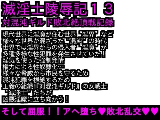 エロPBW:滅淫士陵●記13 (同人誌)
