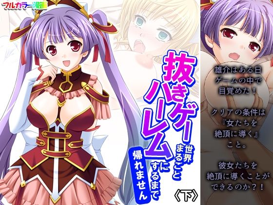 抜きゲー世界まるごとハーレムにするまで帰れません 下 (同人誌)