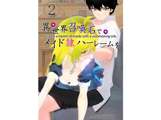 異世界召喚石でメイド隷ハーレムを2巻 (同人誌)