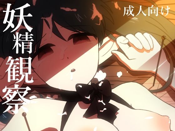 妖精観察 (同人誌)