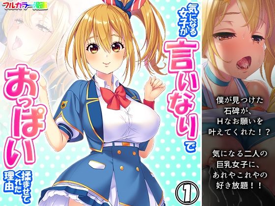 気になる女子が言いなりでおっぱい揉ませてくれた理由 1巻 (同人誌)