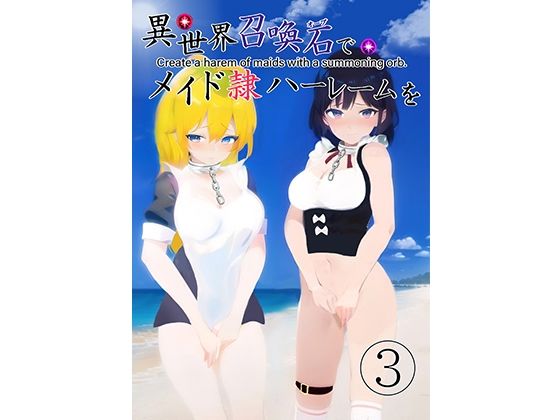 異世界召喚石でメイド隷ハーレムを 3巻 (同人誌)