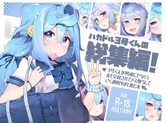 ハカドル3号くんの総集編！3号くんが男達にセクハラホモ交尾されてメス堕ちしていく過程をまとめた本 (同人誌)