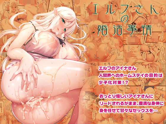 エルフさんの婚活事情 (同人誌)