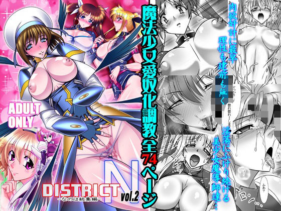 DISTRICT N vol.2 (同人誌)