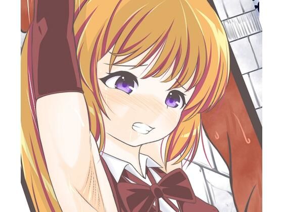 潜入した館の警備兵に捕獲されレ●プされる怪盗セイ〇トテール (同人誌)