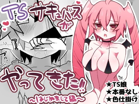 TSサキュバスがやってきた！！〜はじめまして編〜 (同人誌)