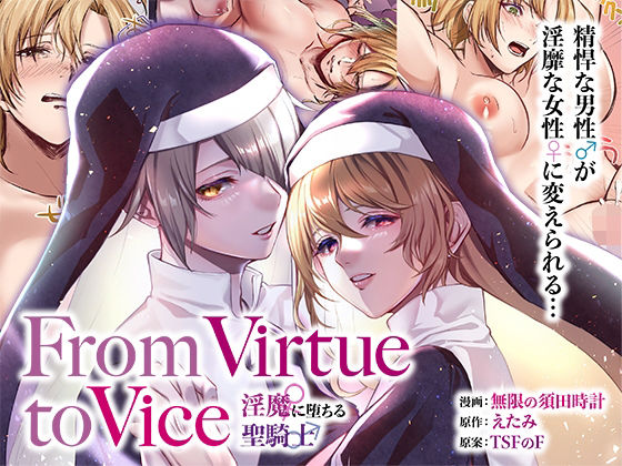 From Virtue to Vice 〜淫魔♀に堕ちる聖騎士♂〜 (同人誌)
