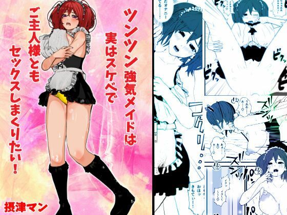 ツンツン強気メイドは実はスケベでご主人様ともセックスしまくりたい (同人誌)