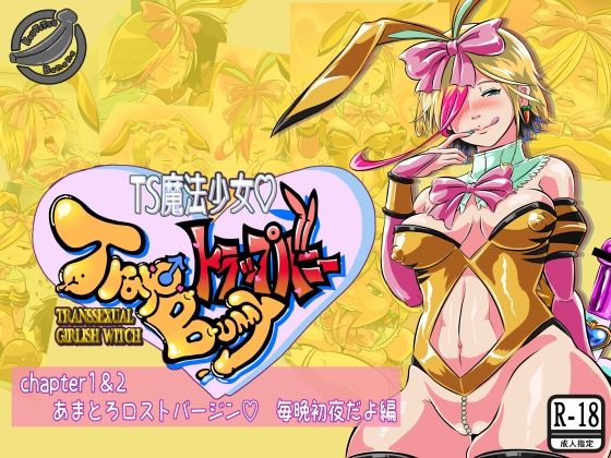 TS魔法少女トラップバニー (同人誌)
