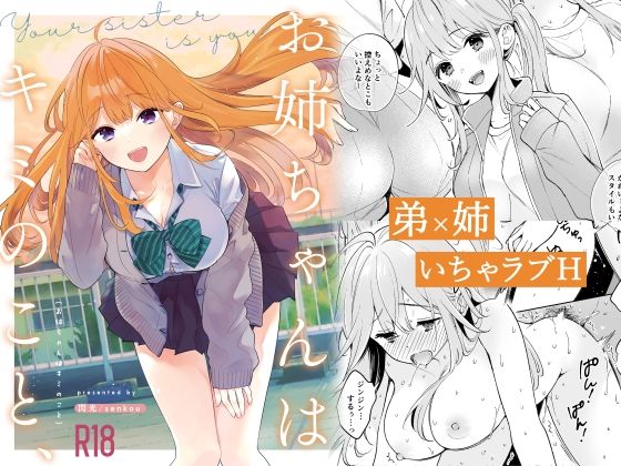 お姉ちゃんはキミのこと、 (同人誌)