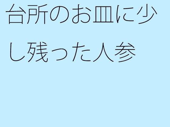 台所のお皿に少し残った人参 (同人誌)
