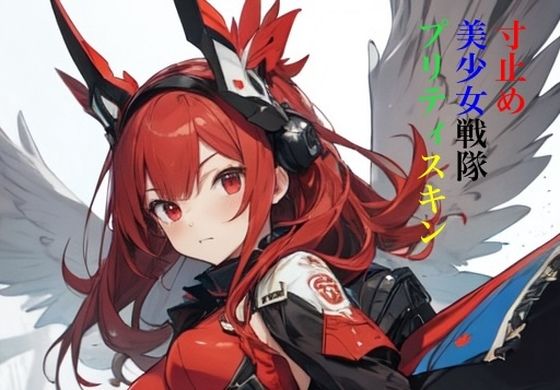 寸止め美少女戦隊プリティスキン 第一部 上巻 (同人誌)