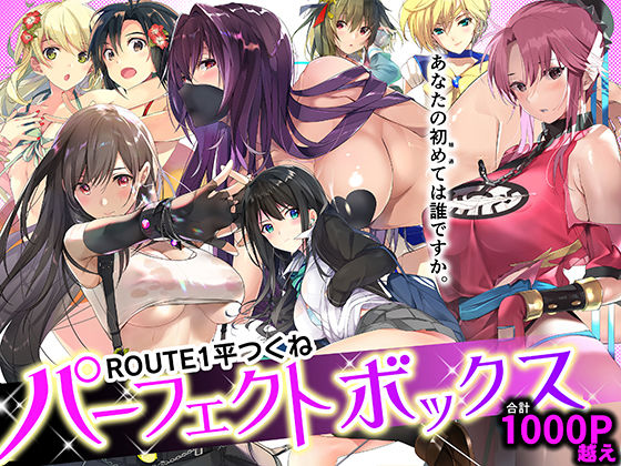 ROUTE1 平つくね パーフェクトボックス ROUTE1 平つくね パーフェクトボックス (同人誌)