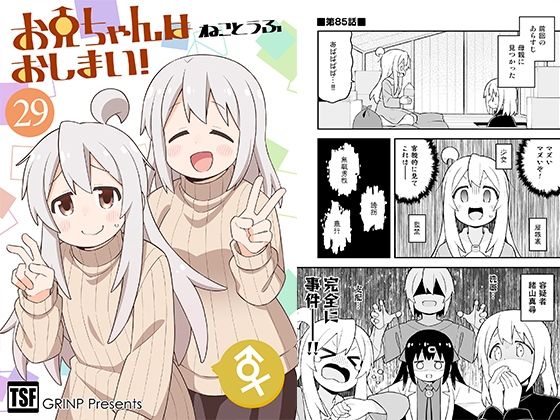 お兄ちゃんはおしまい！29 (同人誌)