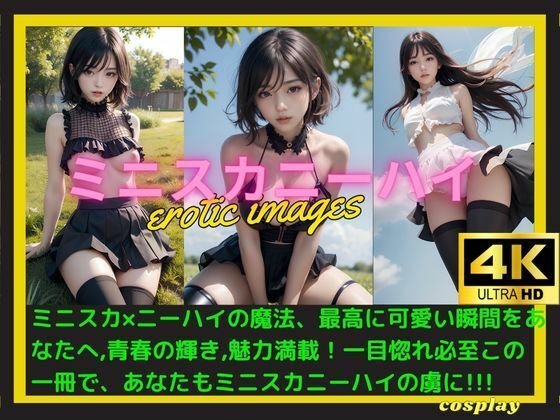 ミニスカニーハイ (同人誌)