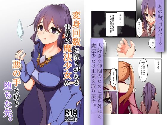 変身回数に限りがある世界の魔法少女が悪の手を取り堕ちた先。 (同人誌)