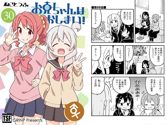 お兄ちゃんはおしまい！30 (同人誌)