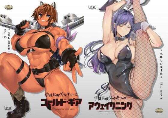 学園大戦ヴァルキリーズ コールド・ギア＆アウェイクニング リマスター版ダブルパック (同人誌)