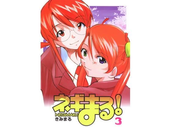 ネギまる！3 (同人誌)