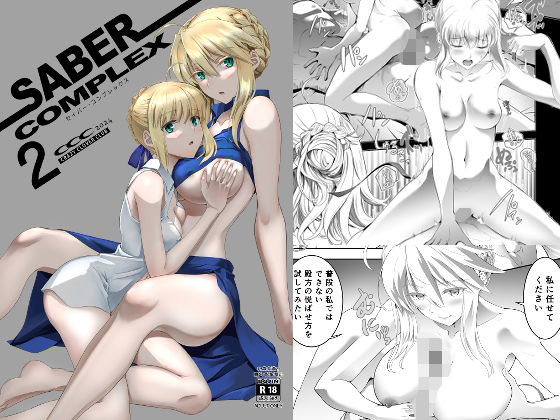 SABER COMPLEX 2 (同人誌)