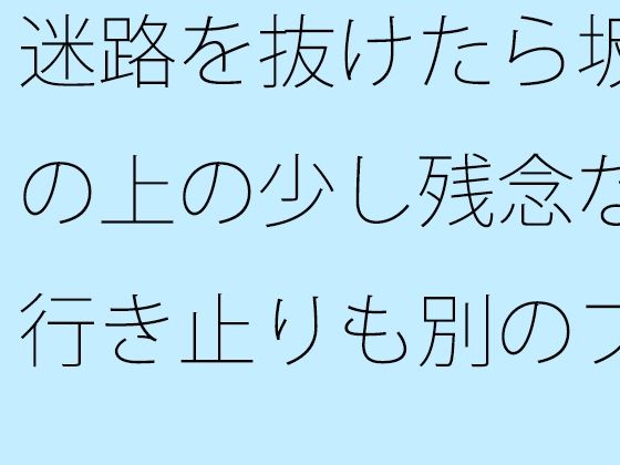 迷路を抜けたら坂の上の少し残念な行き止りも別のプラスのルートに変わる (同人誌)