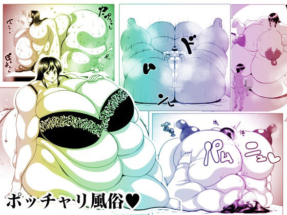 ぽっちゃり風俗 (同人誌)