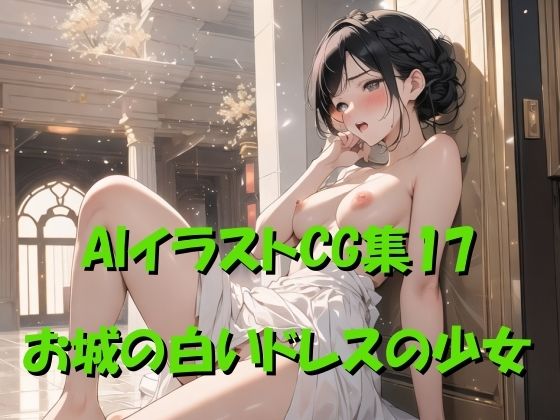 AIイラストCG集17 お城の白いドレスの少女 (同人誌)