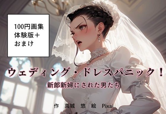 100円画集「ウェディング・ドレスパニック！新郎新婦にされた男たち、体験版＋おまけ」 (同人誌)