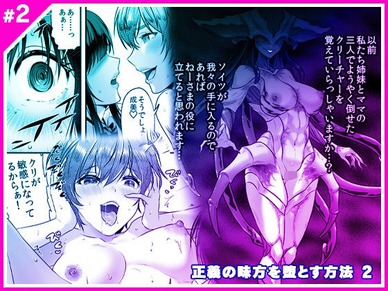 正義の味方を堕とす方法 2 (同人誌)