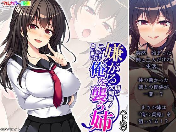 嫌がる顔に大興奮！二人きりなのを良い事に俺を襲う姉 下巻 (同人誌)