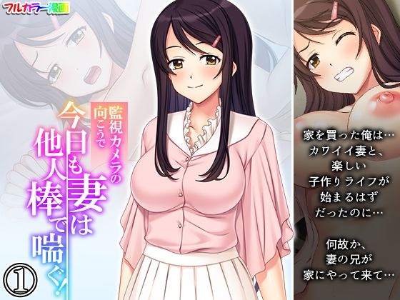 監視カメラの向こうで今日も妻は他人棒で喘ぐ！ 1巻 (同人誌)