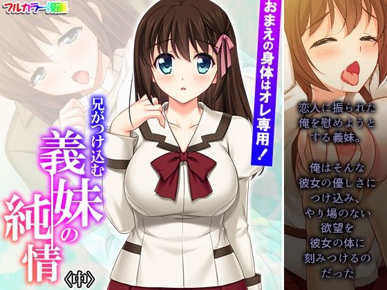 おまえの身体はオレ専用！兄がつけ込む義妹の純情 中 (同人誌)