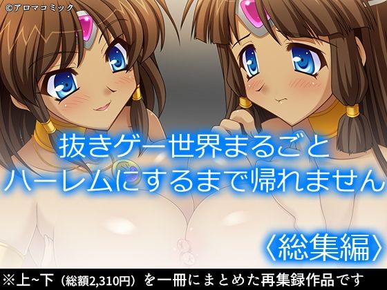 抜きゲー世界まるごとハーレムにするまで帰れません  ＜総集編＞ (同人誌)