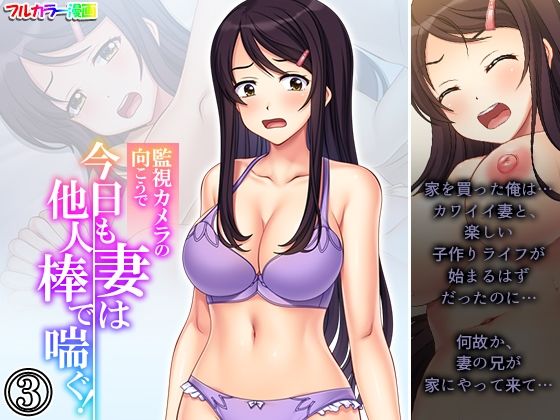 監視カメラの向こうで今日も妻は他人棒で喘ぐ！ 3巻 (同人誌)