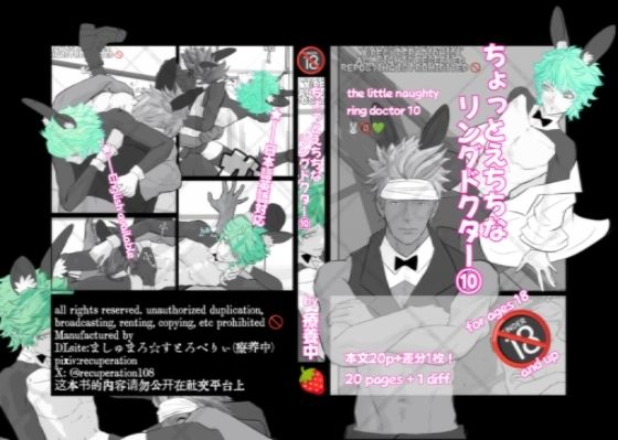 ちょっとえちちなリングドクター 10 (同人誌)