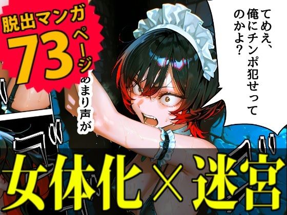 【監禁】暴走族総長を女体化させてエロダンジョンに閉じ込めてみた (同人誌)