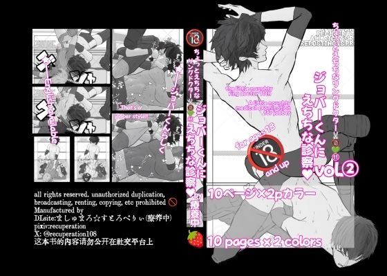 ちょっとえちちなリングドクタ（11）2 (同人誌)