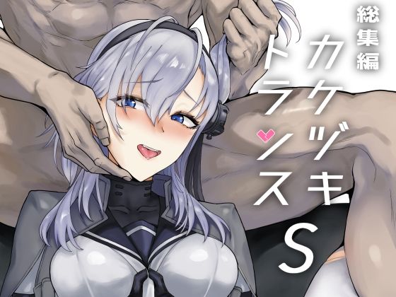 総集編  カケヅキトランスS (同人誌)