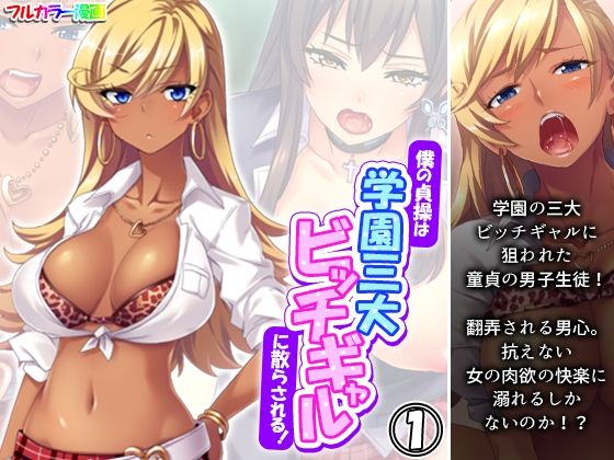 僕の貞操は学園三大ビッチギャルに散らされる！ 1巻 (同人誌)