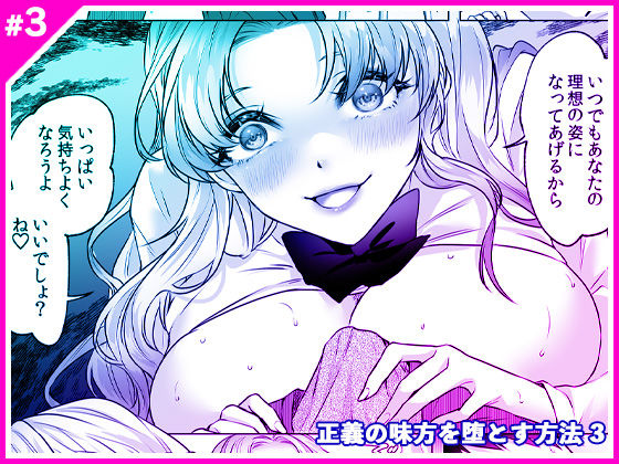 正義の味方を堕とす方法 3 (同人誌)