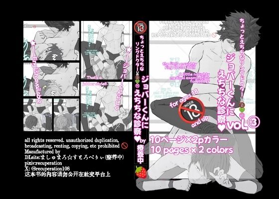 ちょっとえちちなリングドクター11-3 (同人誌)