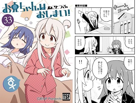 お兄ちゃんはおしまい！33 (同人誌)