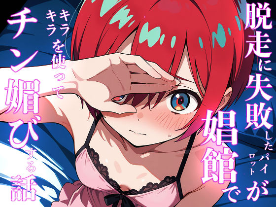 脱走に失敗したパイロットが娼館でキラキラを使ってチン媚する話 脱走に失敗したパイロットが娼館でキラキラを使ってチン媚する話 (同人誌)