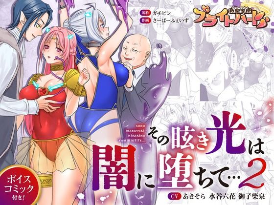 救聖天使ブライトハート  その眩き光は闇に堕ちて…2 (同人誌)